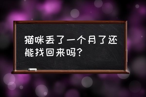 一个月大的小猫不见了怎么找 猫咪丢了一个月了还能找回来吗？