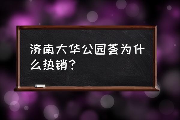 新建智能公园在什么位置 济南大华公园荟为什么热销？