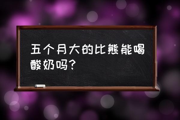 比熊肠胃不舒服要怎么调理 五个月大的比熊能喝酸奶吗？