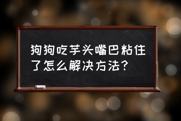 狗狗可以吃芋头吗熟的 狗狗吃芋头嘴巴粘住了怎么解决方法？