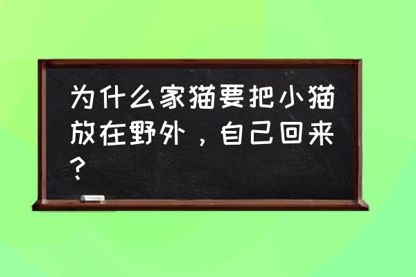 母猫总是叼着小猫挪窝怎么办 为什么家猫要把小猫放在野外，自己回来？