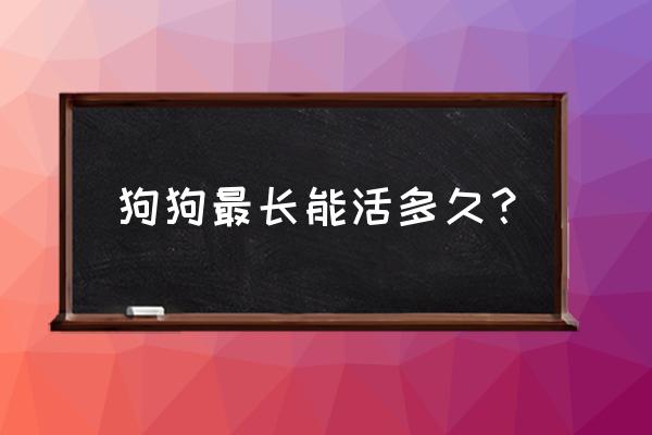 巴吉度幼犬不吃食怎么办 狗狗最长能活多久？