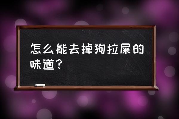 狗狗身上臭怎么解决 怎么能去掉狗拉屎的味道？