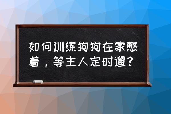 怎么在家训练狗狗 如何训练狗狗在家憋着，等主人定时遛？