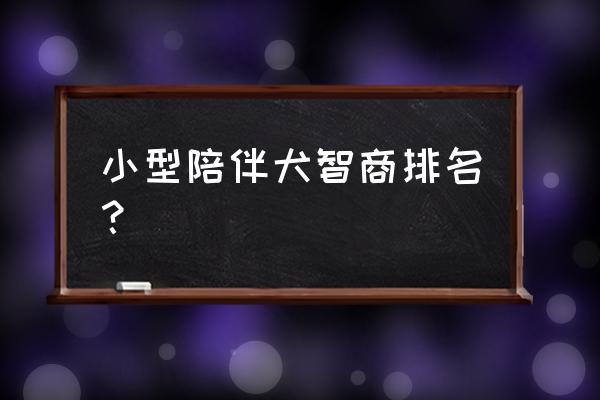 喜乐蒂牧羊犬多大开始训练 小型陪伴犬智商排名？