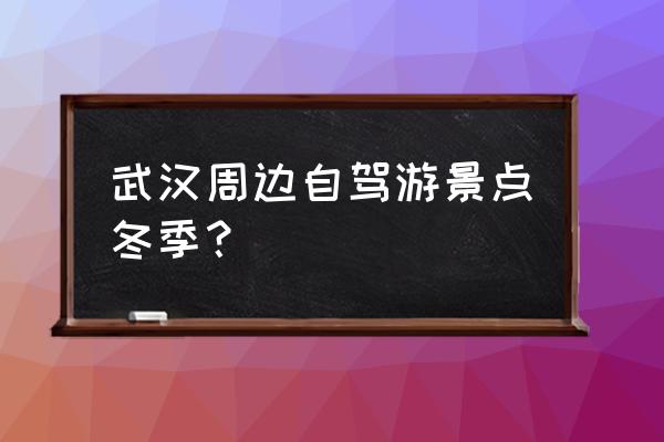 黄陂旅游一日游最佳路线推荐 武汉周边自驾游景点冬季？