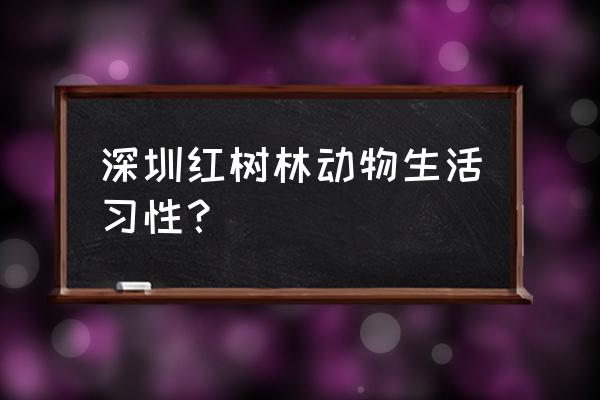 深圳红树林必备攻略 深圳红树林动物生活习性？