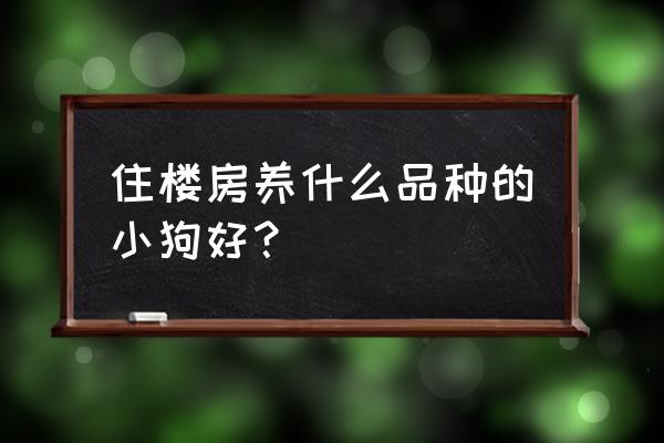 狗狗的品种哪种更好养 住楼房养什么品种的小狗好？