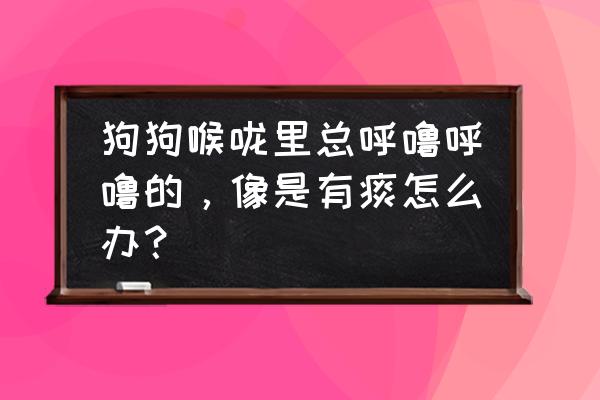 狗突然咳嗽有痰怎么办 狗狗喉咙里总呼噜呼噜的，像是有痰怎么办？