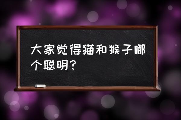 为什么说狗比猫更聪明呢 大家觉得猫和猴子哪个聪明？